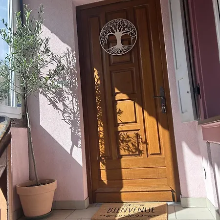 Le Petit Coin Des Oliviers דירה קולמר