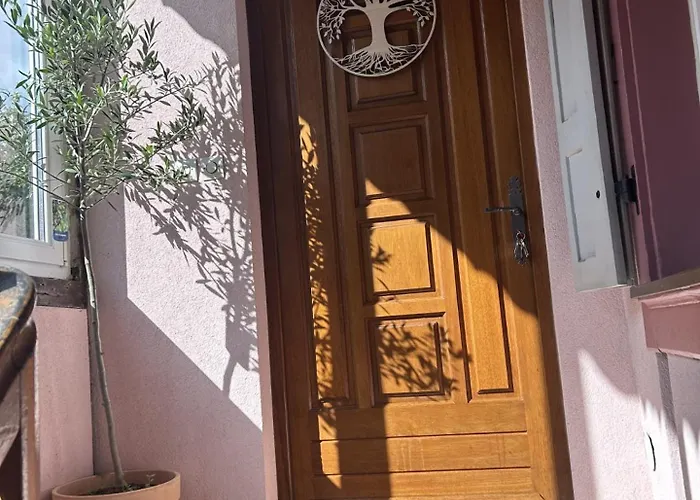 Le Petit Coin Des Oliviers Appartamento Colmar